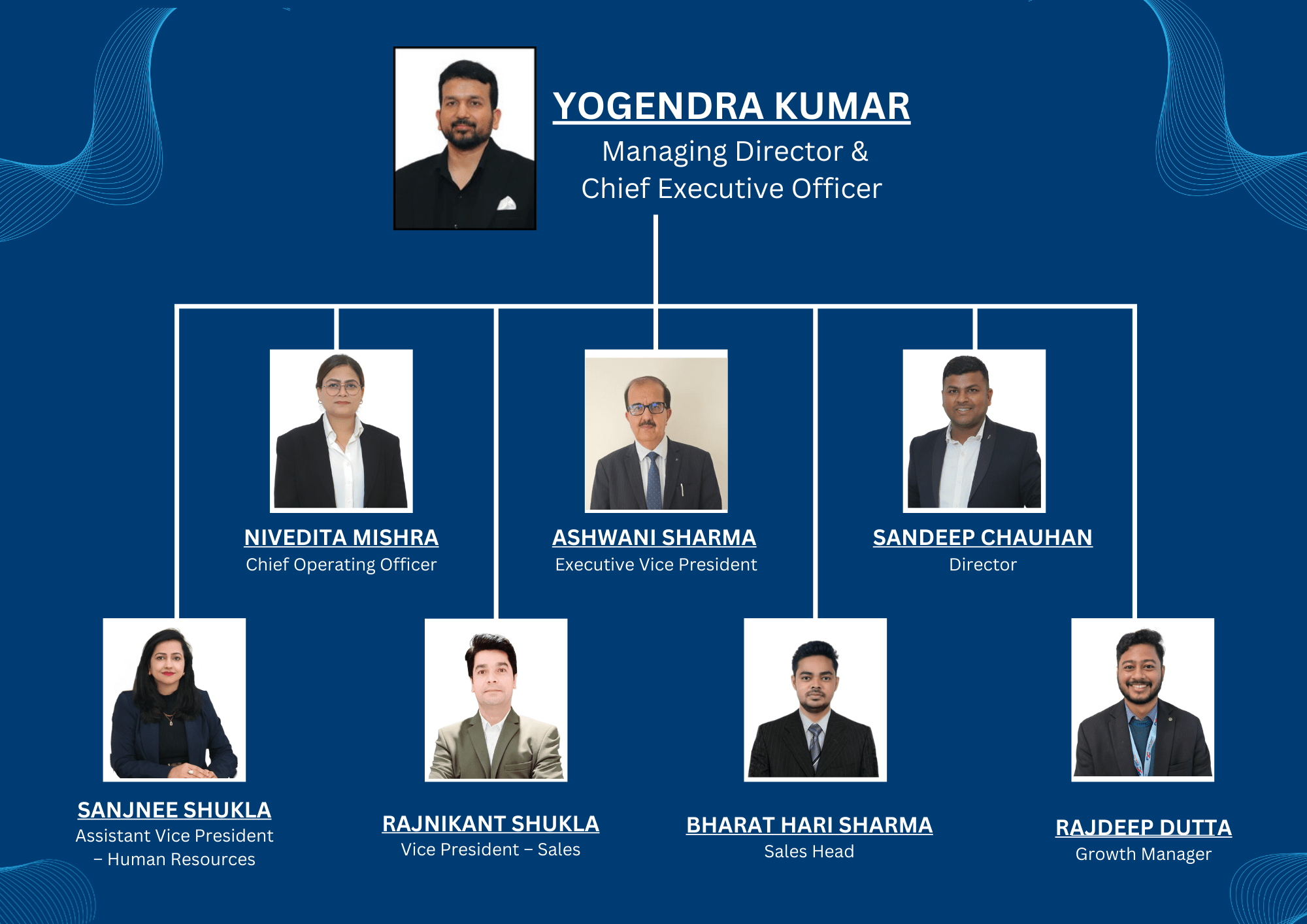 Website Team Structure.pdf